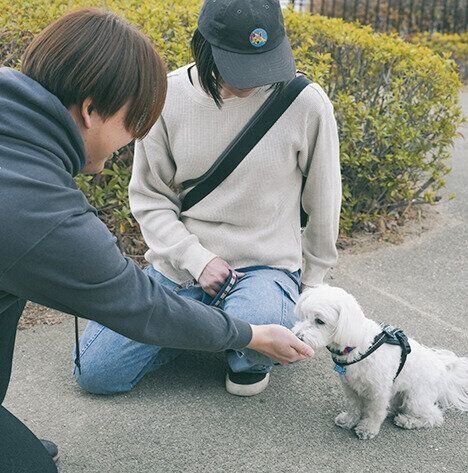 手からおやつをもらう犬の様子