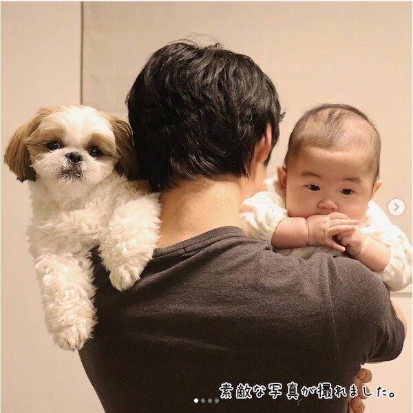 シー・ズーの小梅ちゃんと妹ももちゃんの日常