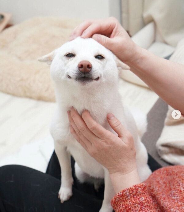 おばあちゃんに甘えるまめたちゃん