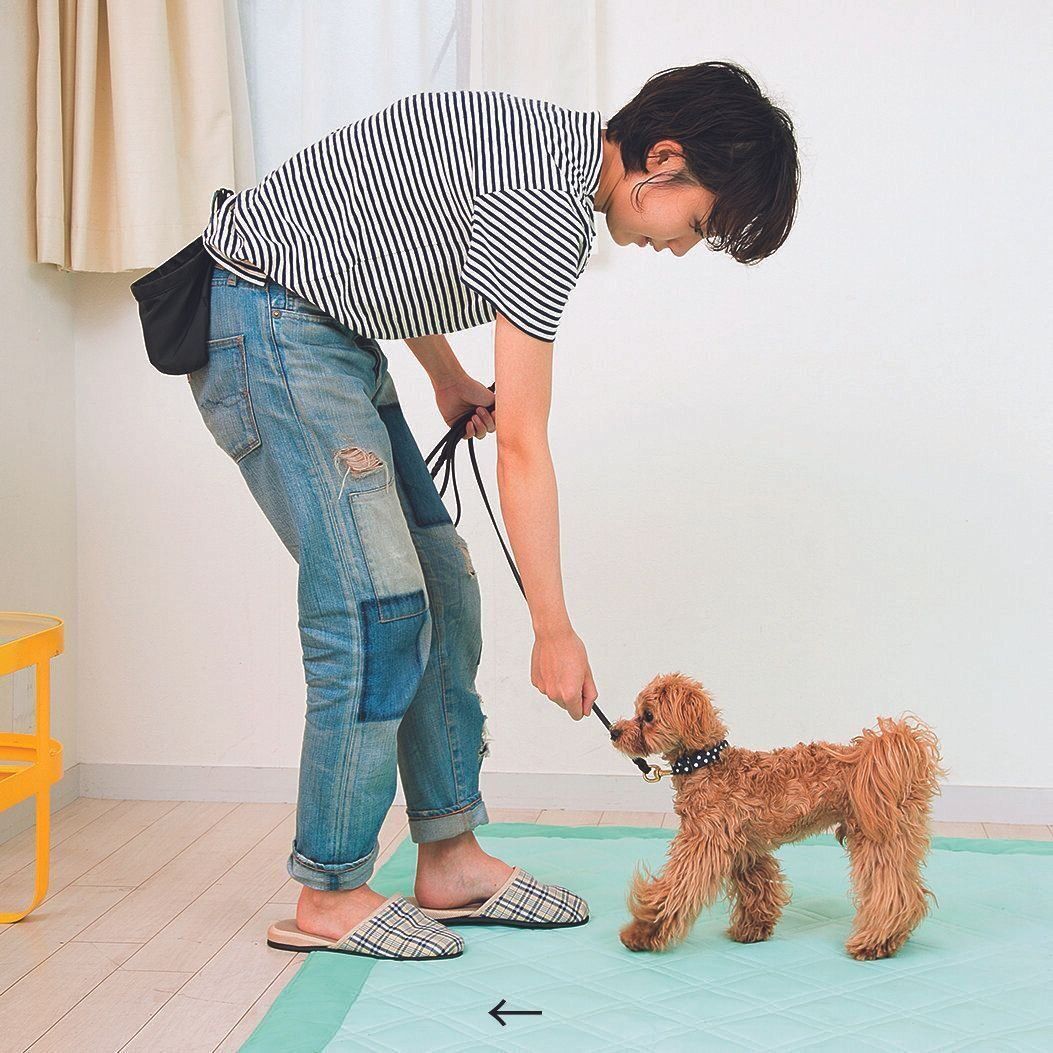 フードのニオイをかがせながら1歩下がる