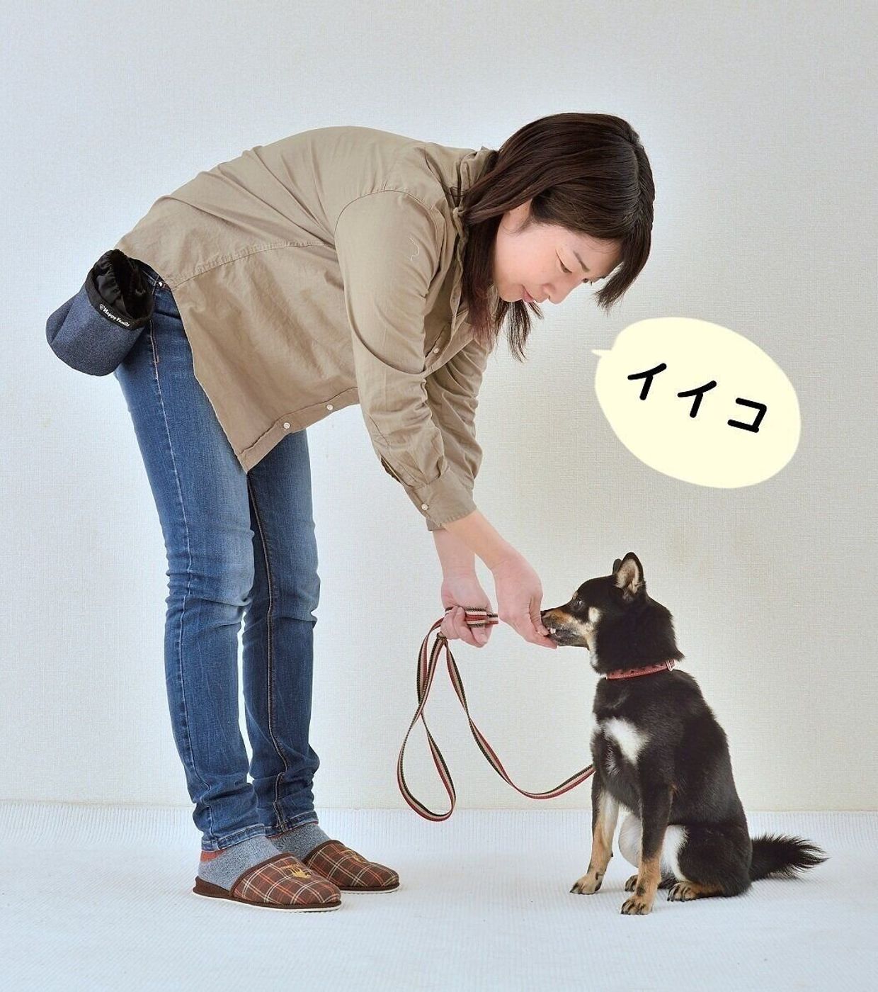 おやつの与え方を間違えると おねだり犬 になるかも おやつを与えるべき3大シーン いぬのきもちweb Magazine おやつの与え方を間違えると おねだり犬 になるかも おやつを与えるべき3大シーン いぬのきもちweb Magazine