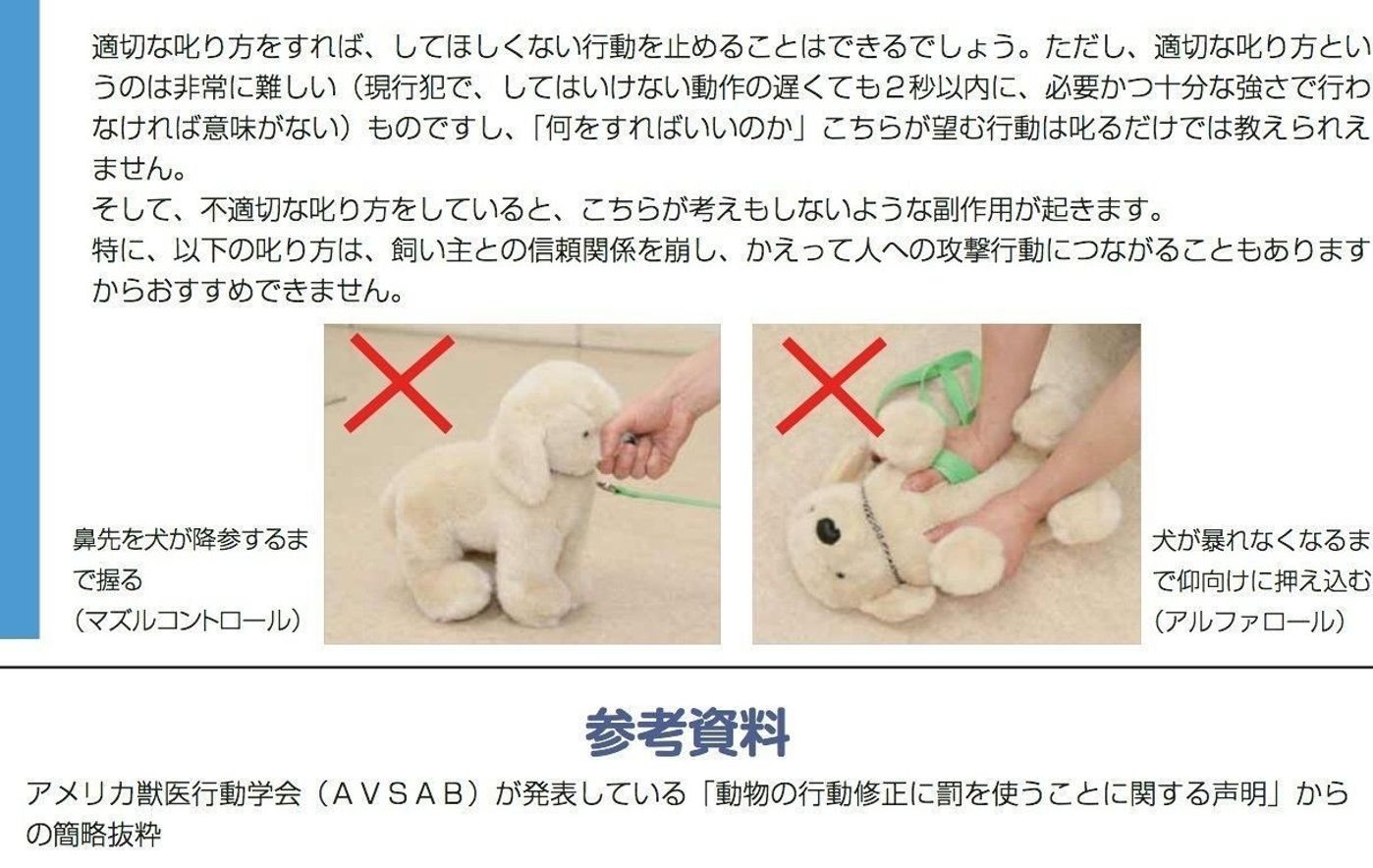 不幸な犬を増やす間違った叱り方 連載 西川文二の 犬ってホントは Vol 5 いぬのきもちweb Magazine 不幸な犬を増やす間違った叱り方 連載 西川文二の 犬ってホントは Vol 5 いぬのきもちweb Magazine
