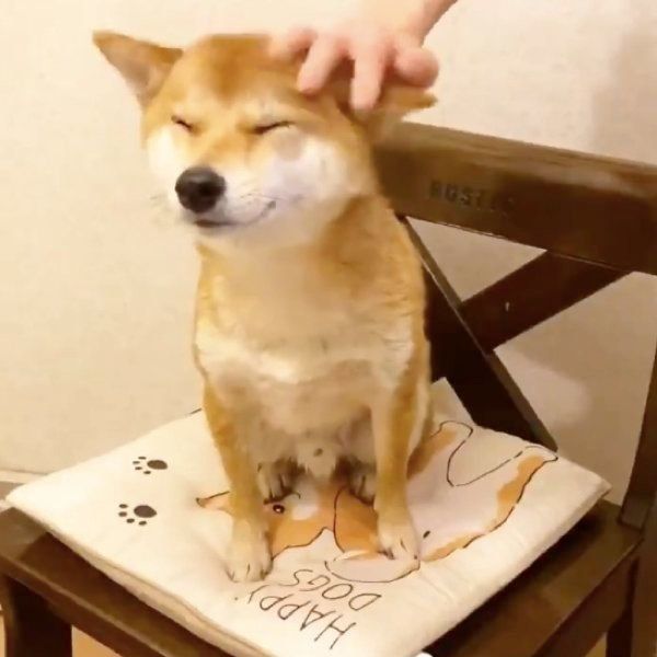 気持ち良さそうな顔をするりんご郎くん