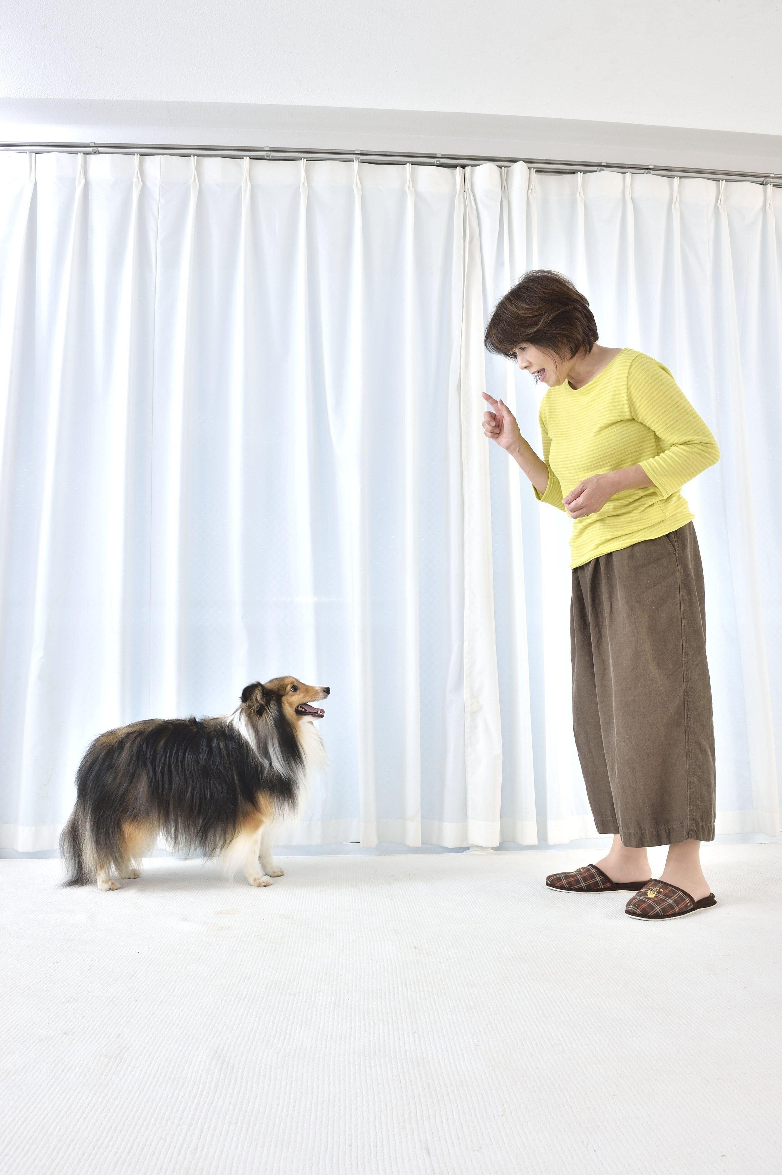 大声も、連呼も避けたほうがよいでしょう（写真／佐藤正之）