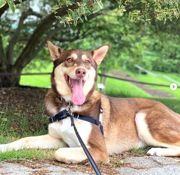 笑顔の次郎ちゃん