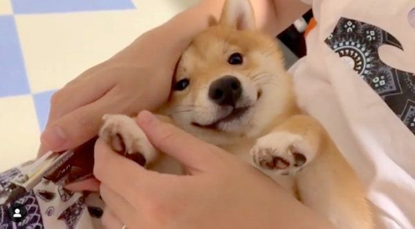 爪切りをするうにくん