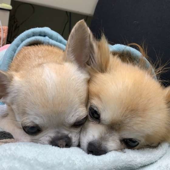 そんなにくっついて仲良しだね♪