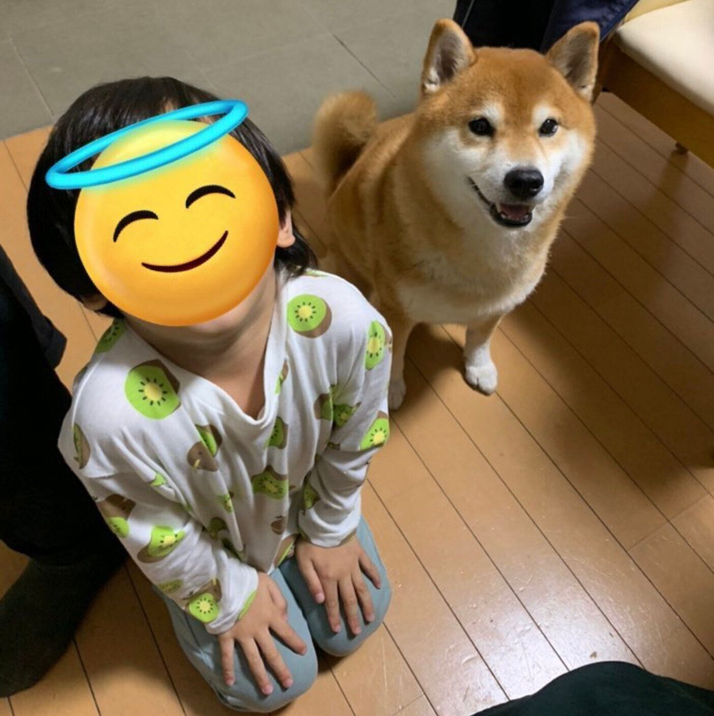 おすわりする弟くんとこたろうくん