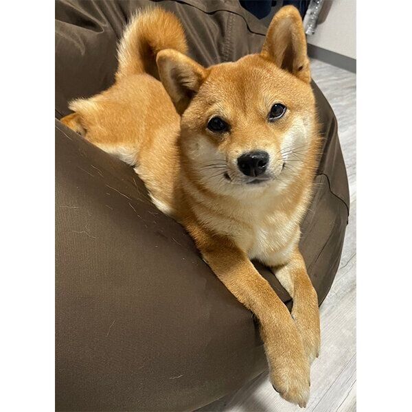 見つめるもなかちゃん