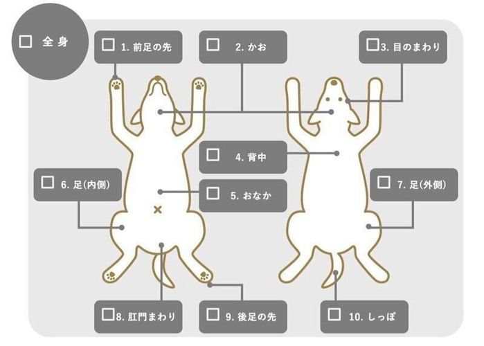 かゆみが出やすいところ