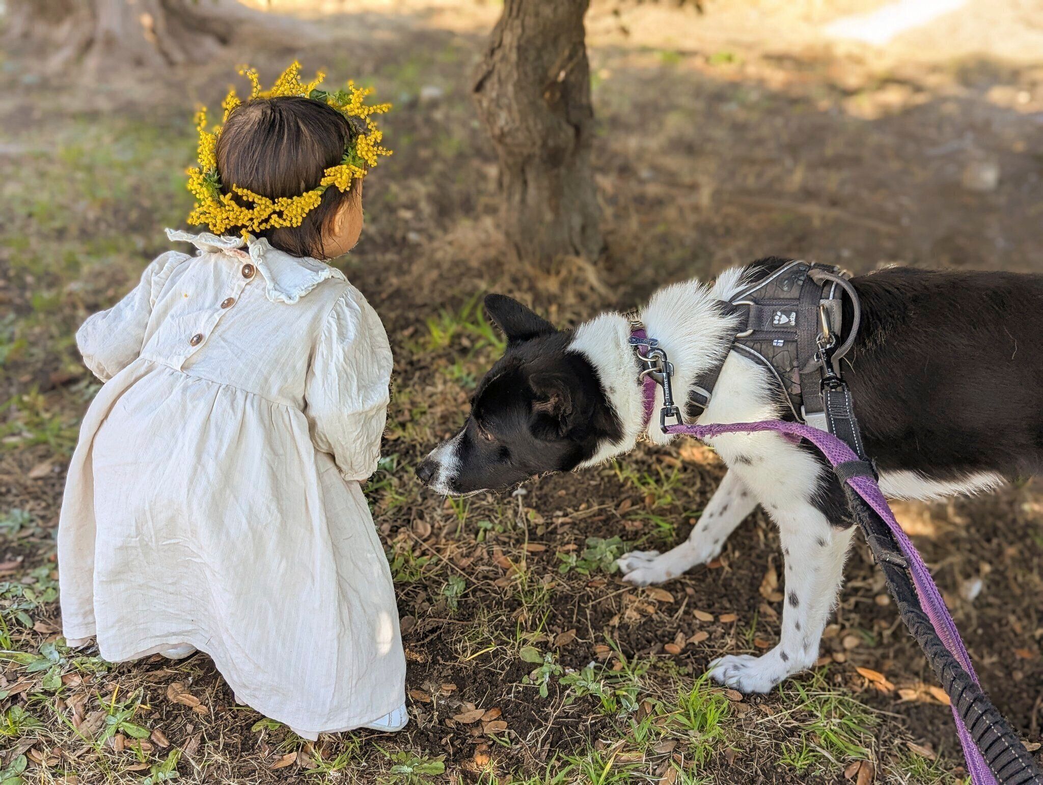お子さんとあんころちゃんの様子