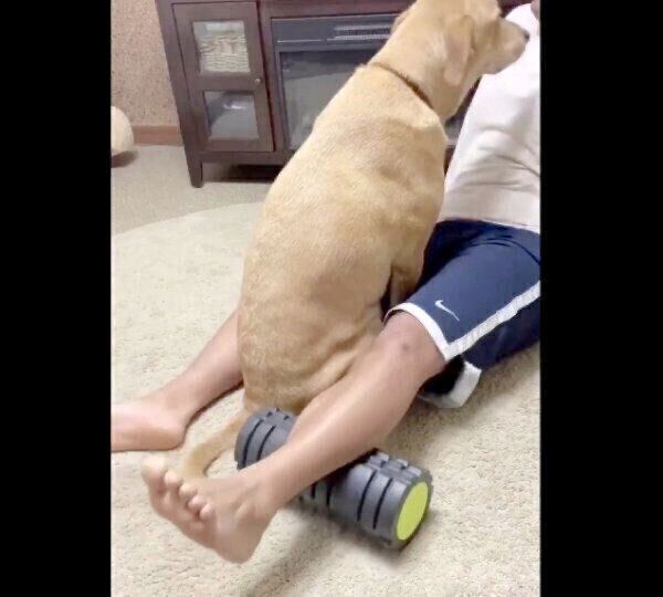 パパさんの両足の間に座り込むリンちゃん