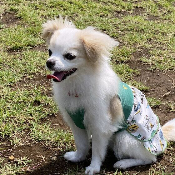 緊張した面持ちのＭｉｘの萌花ちゃん