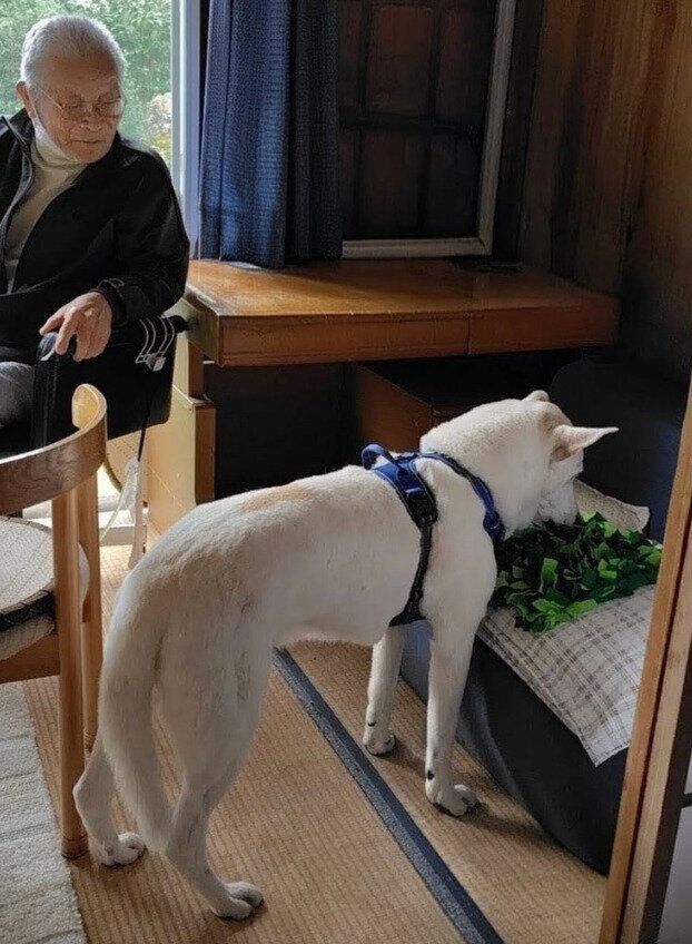 手先が器用な98才の飼い主さんの祖父が、テラゾーくんのために手作りしたノーズワークマット