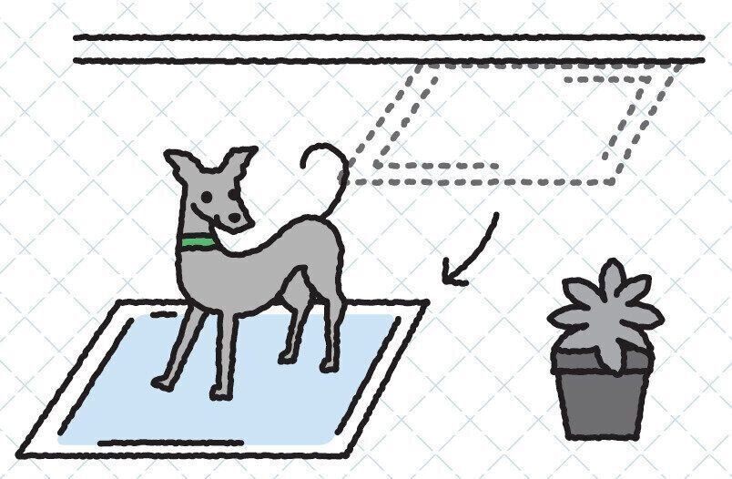 イラスト／亀山鶴子