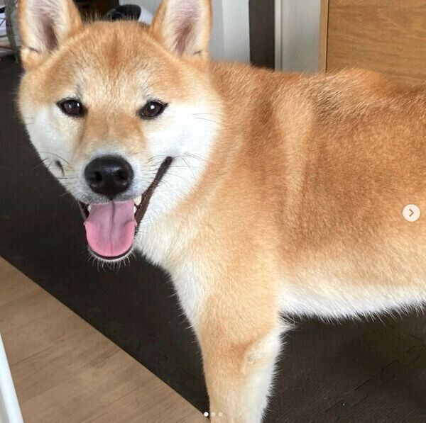 笑顔を見せるいとさん