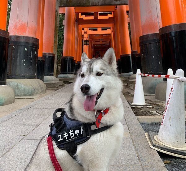 笑顔のユキちゃん