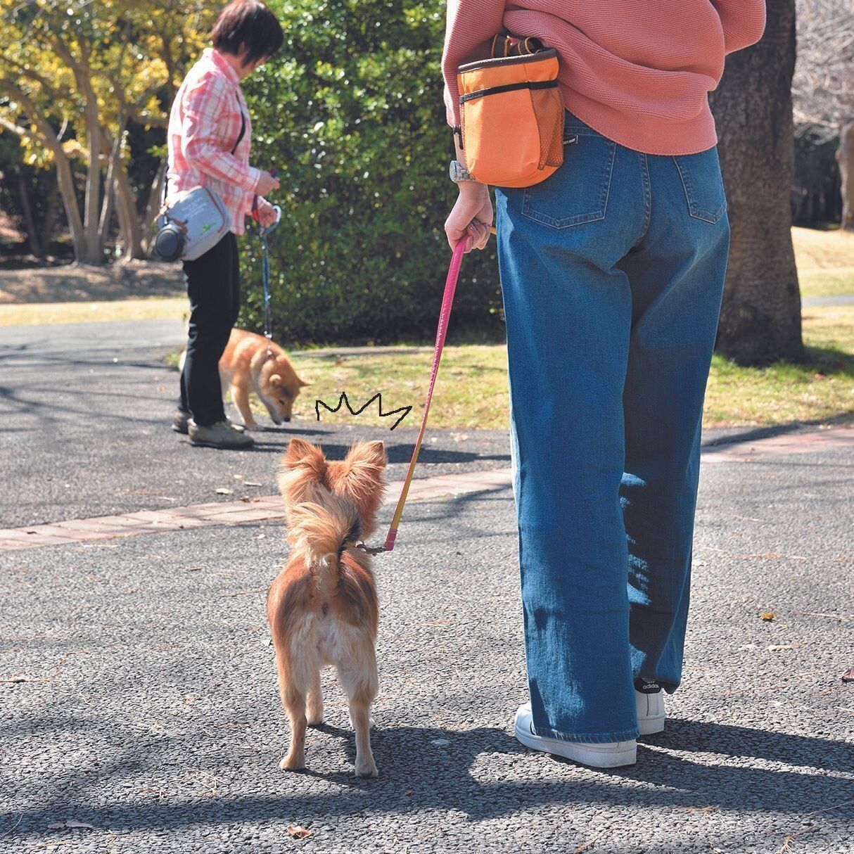 1.ほかの犬を見かけたら、愛犬が吠える前に回避します