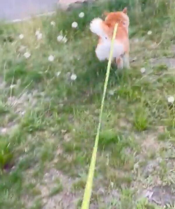 喜ぶハルちゃん