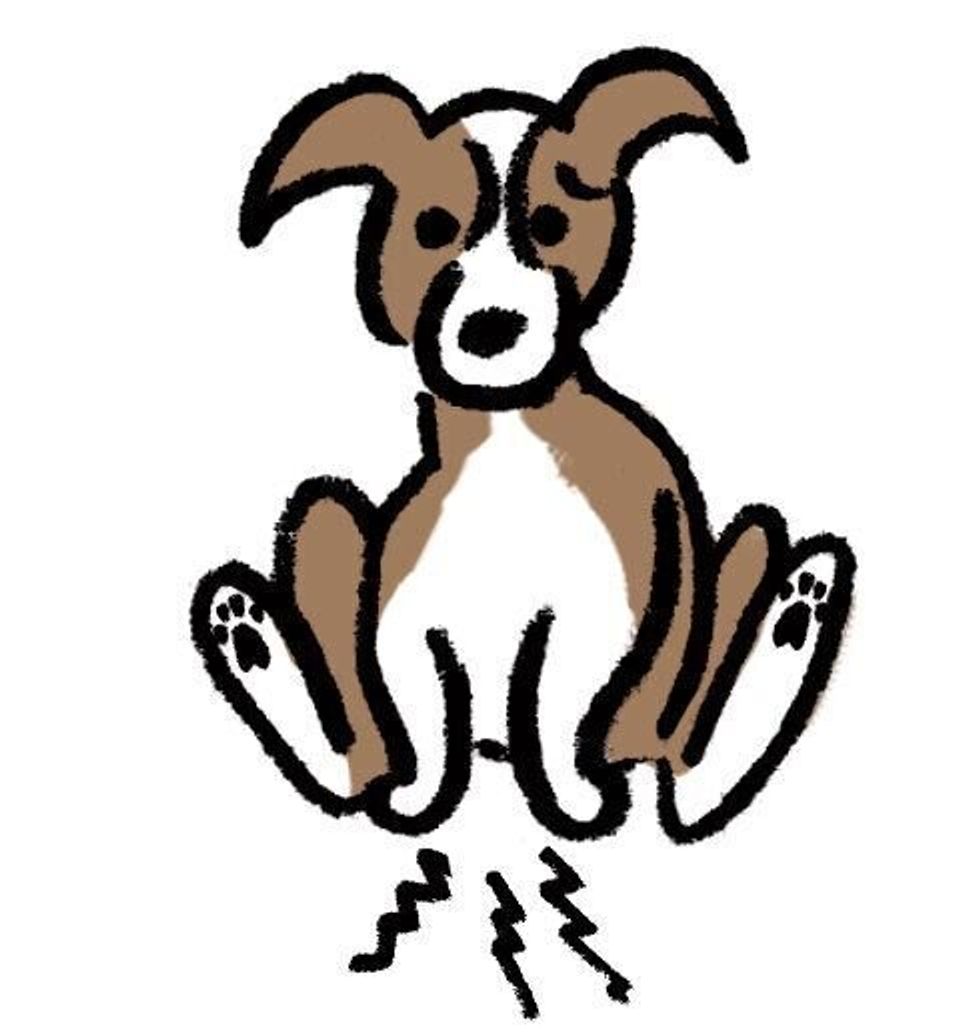 クネクネ スリスリ ブルブル 犬のしぐさ 原因は かも いぬのきもちweb Magazine クネクネ スリスリ ブルブル 犬のしぐさ 原因は かも いぬのきもちweb Magazine