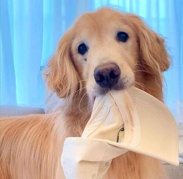 帽子をくわえるエリックくん