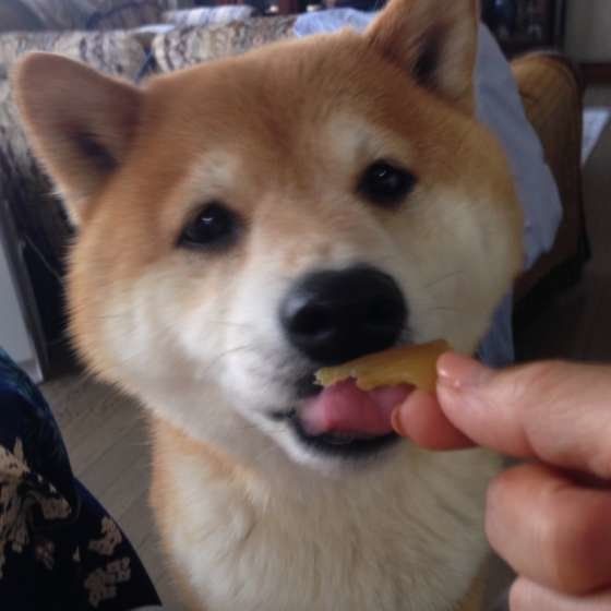 さつまいも大好き♪