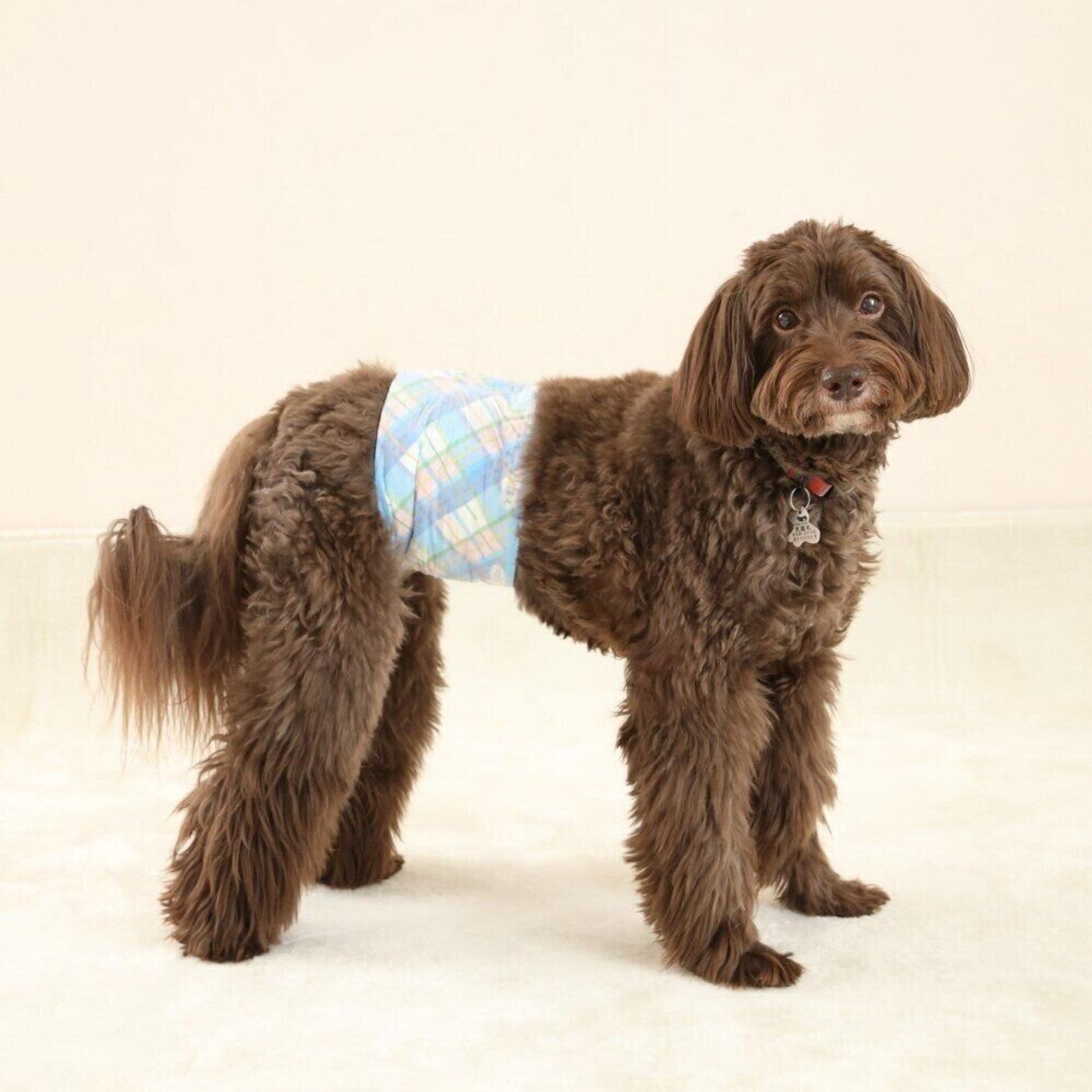 Nfw6nsr4zexnvm Nfw6nsr4zexnvm