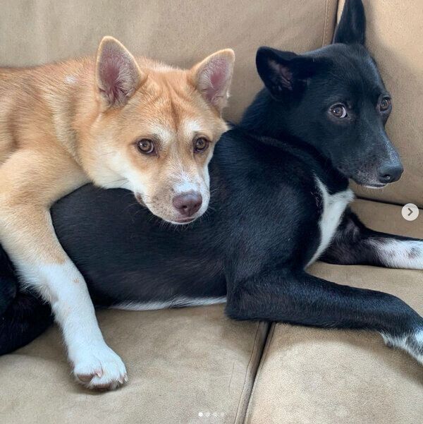 仲良しなターシャちゃんとハチちゃん