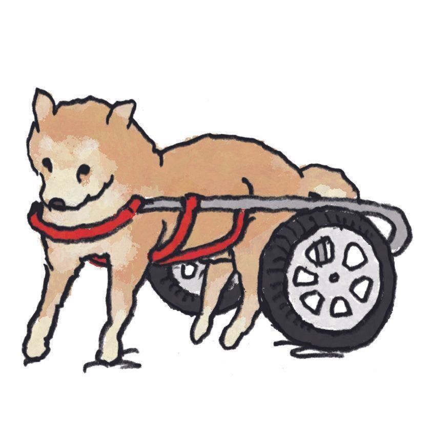 イラスト／五嶋直美