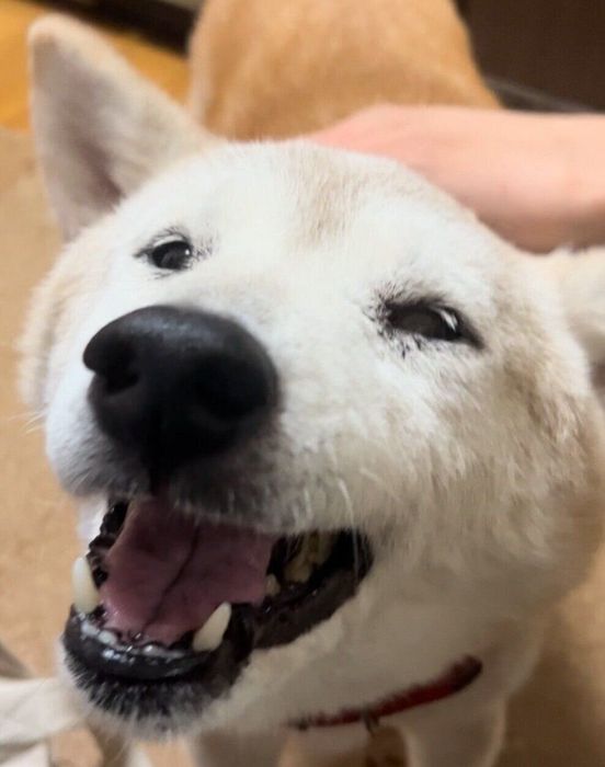 嬉しそうなクウちゃん