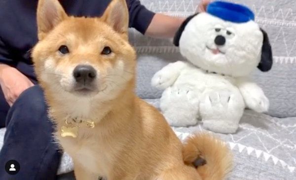 かまってほしいパパさんと、ガン無視するうにくん