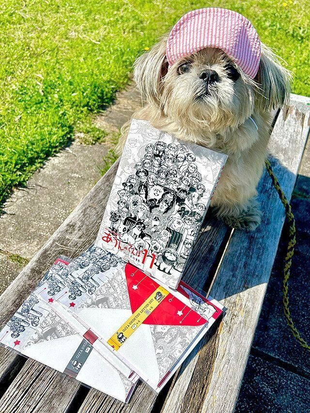 シーズー犬マンガてんぽshihtzu