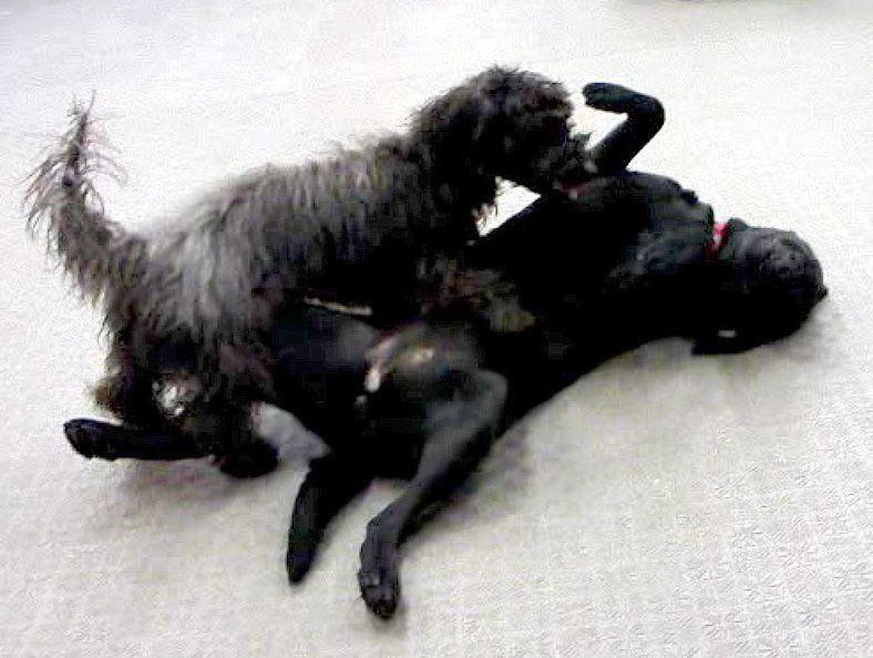 ↑上になったり下になったり、上下関係なども関係がない