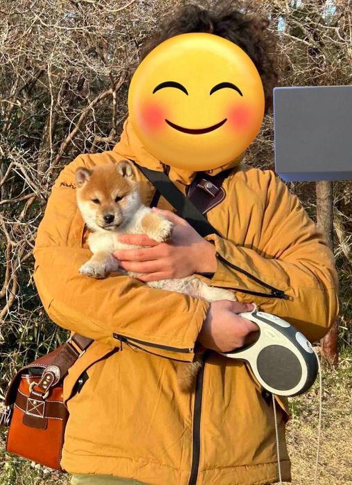 生後3カ月の殿くん。腕の中にすっぽり収まっています