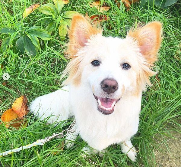 笑顔のたんたんちゃん