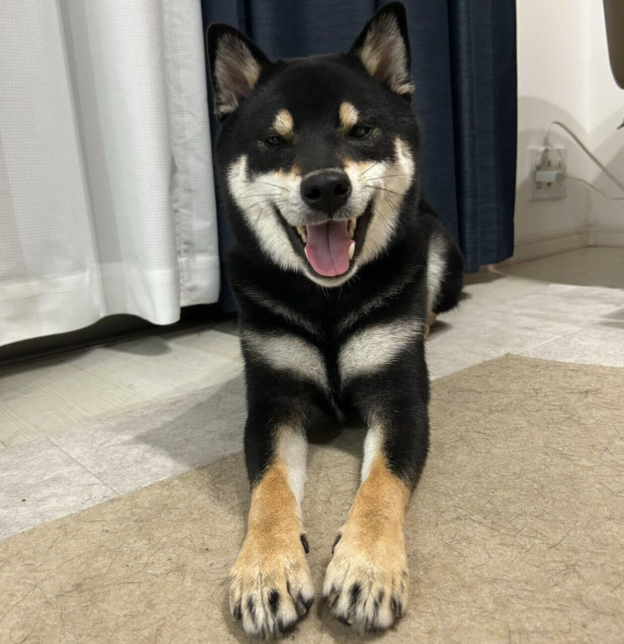 ニコニコするアルくん