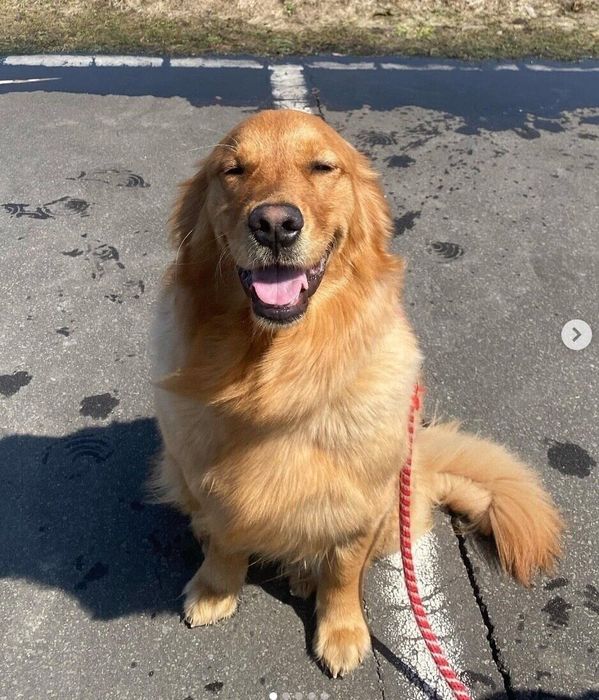 笑顔が可愛いメイちゃん