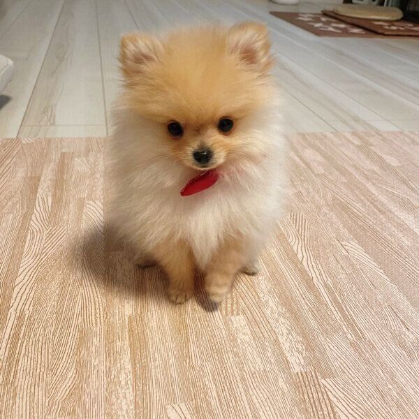 ちょこんと座るテディちゃん