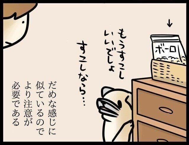 いぬのきもちWEB MAGAZINE『飼い主と犬、ダメなところも似てくる…|連載「パグ犬・めー」vol.42』
