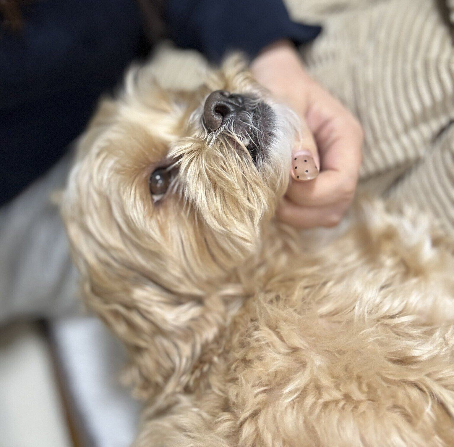 賢くて平和主義な一面もあるというちぇろくん