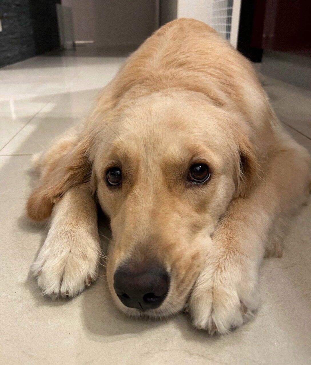 見つめるそらちゃん