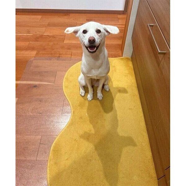 笑顔で見つめてくるこうめちゃん