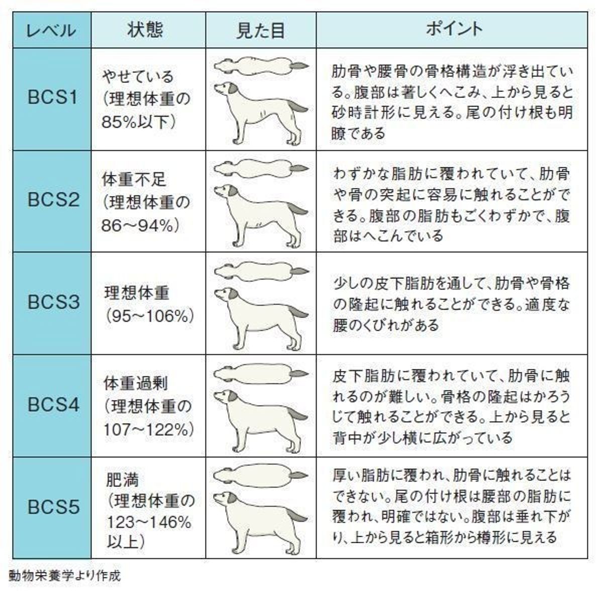 獣医師監修 食事と運動を見直して正しくダイエット 体型チェックイラストつき いぬのきもちweb Magazine