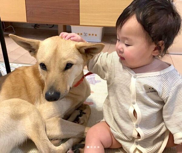 お子さんに「よしよし」してもらうりくちゃん