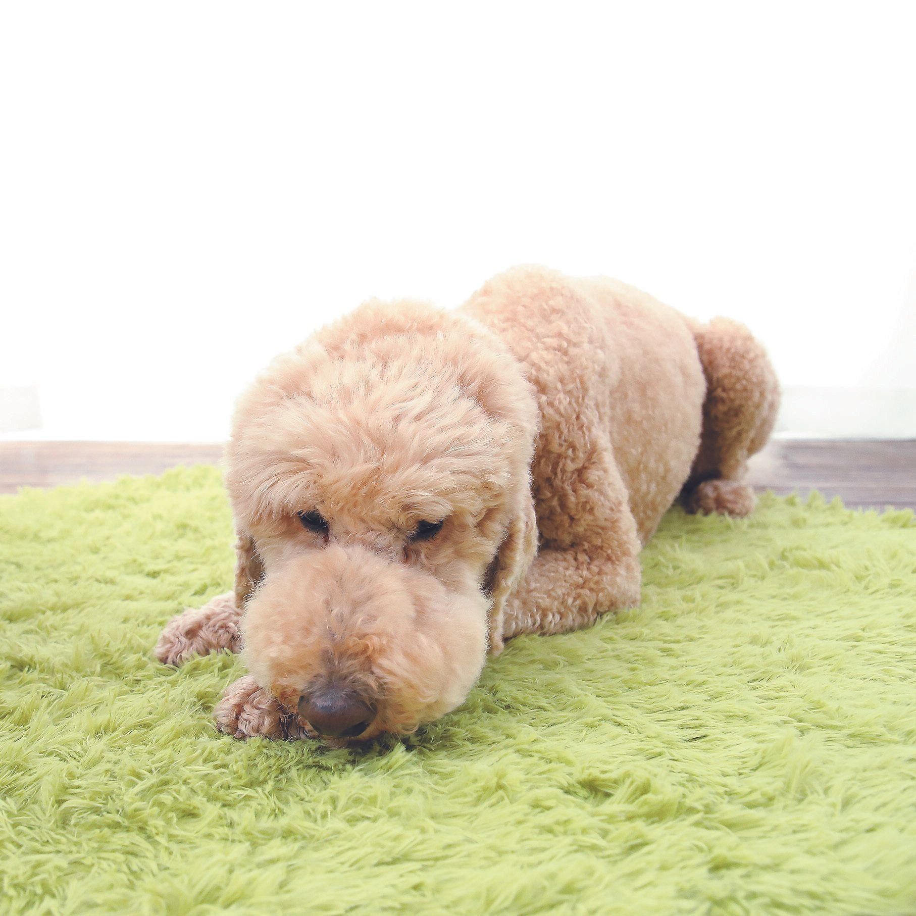 SOSに気づいてね