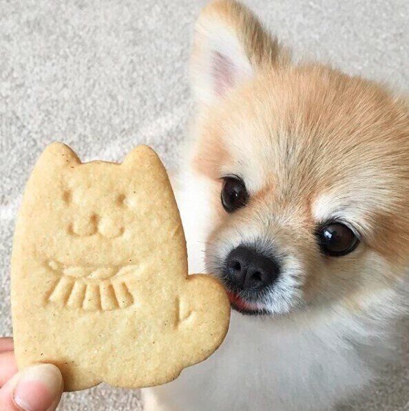 伊勢神宮土産としても人気