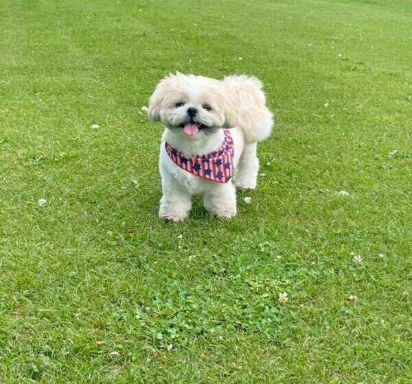 楽しそうなこむぎくん