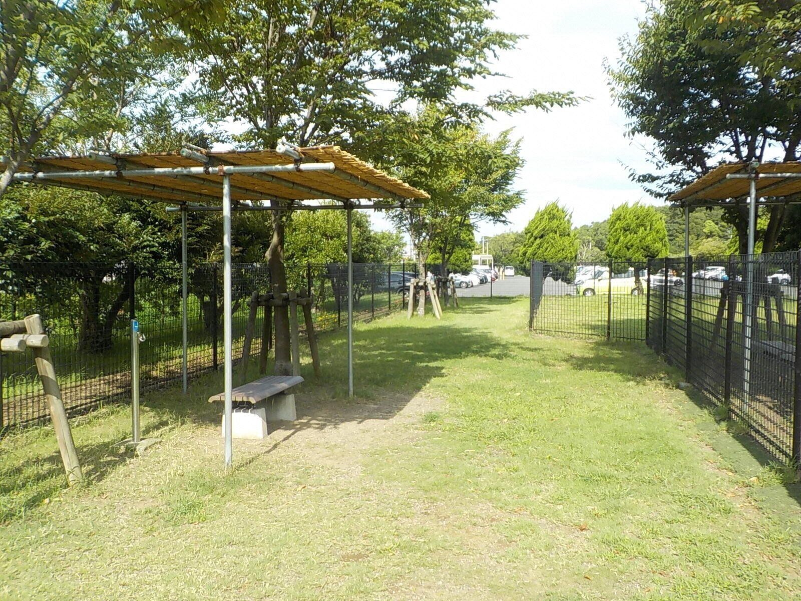 緑に囲まれたドッグラン