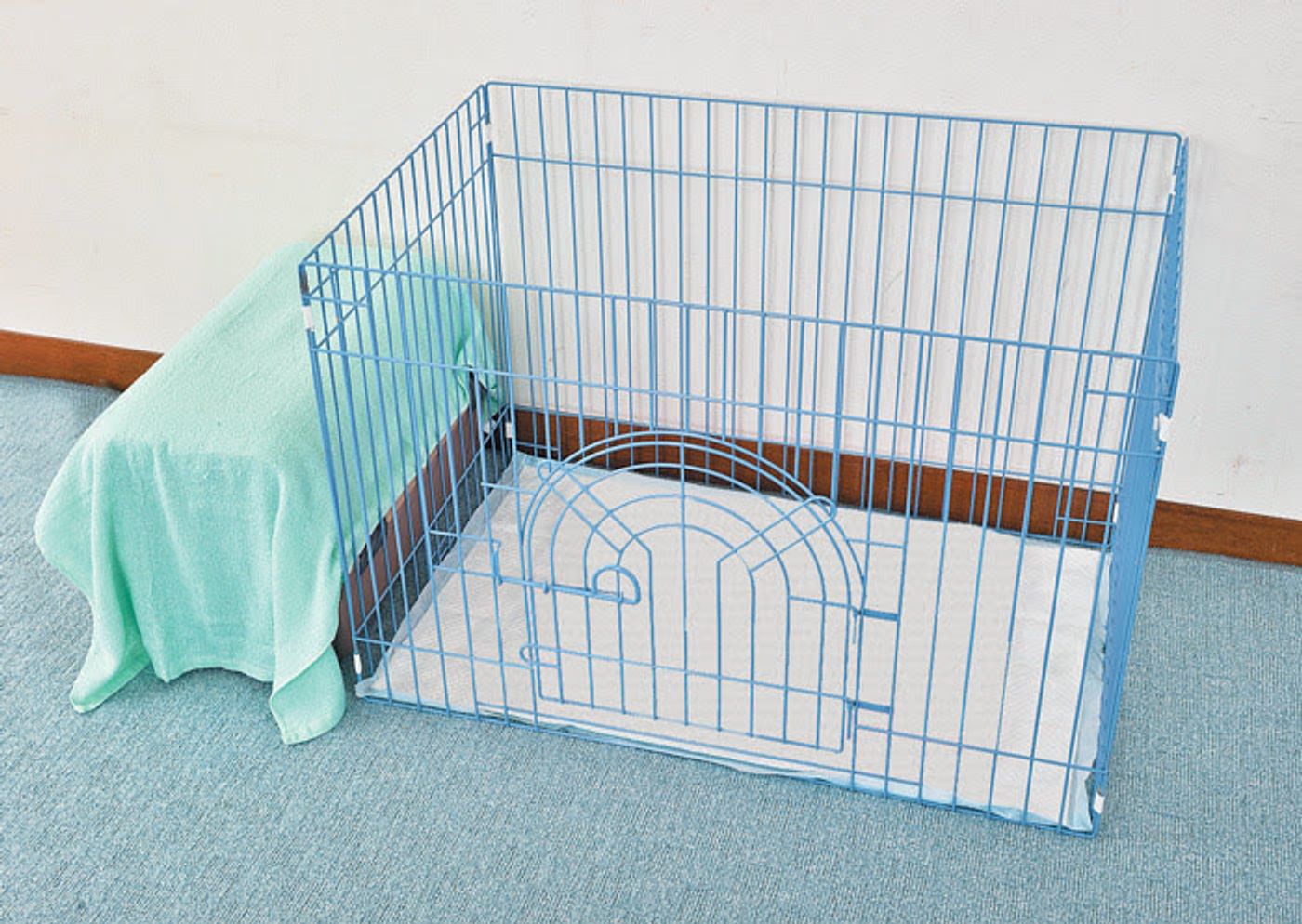 獣医師監修 小型犬ならではのトイレトレーニング方法やトイレの選び方 いぬのきもちweb Magazine 獣医師監修 小型犬ならではのトイレトレーニング方法やトイレの選び方 いぬのきもちweb Magazine