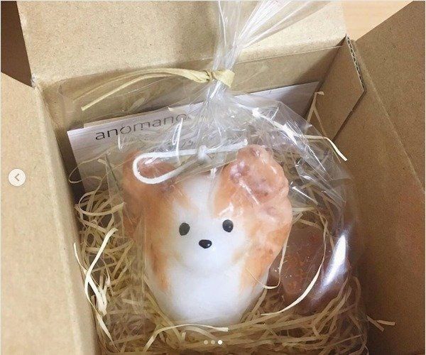 anomanocaris（アノマノカリス）さんの犬モチーフキャンドル